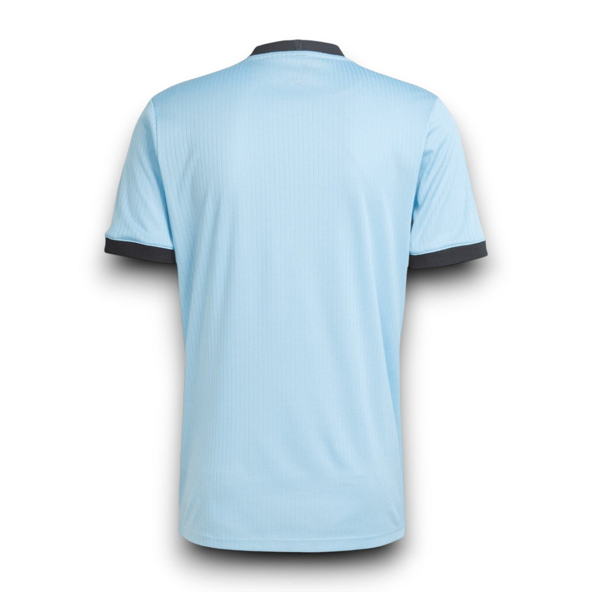 Germany 125th Anniversary Player Jersey Blue