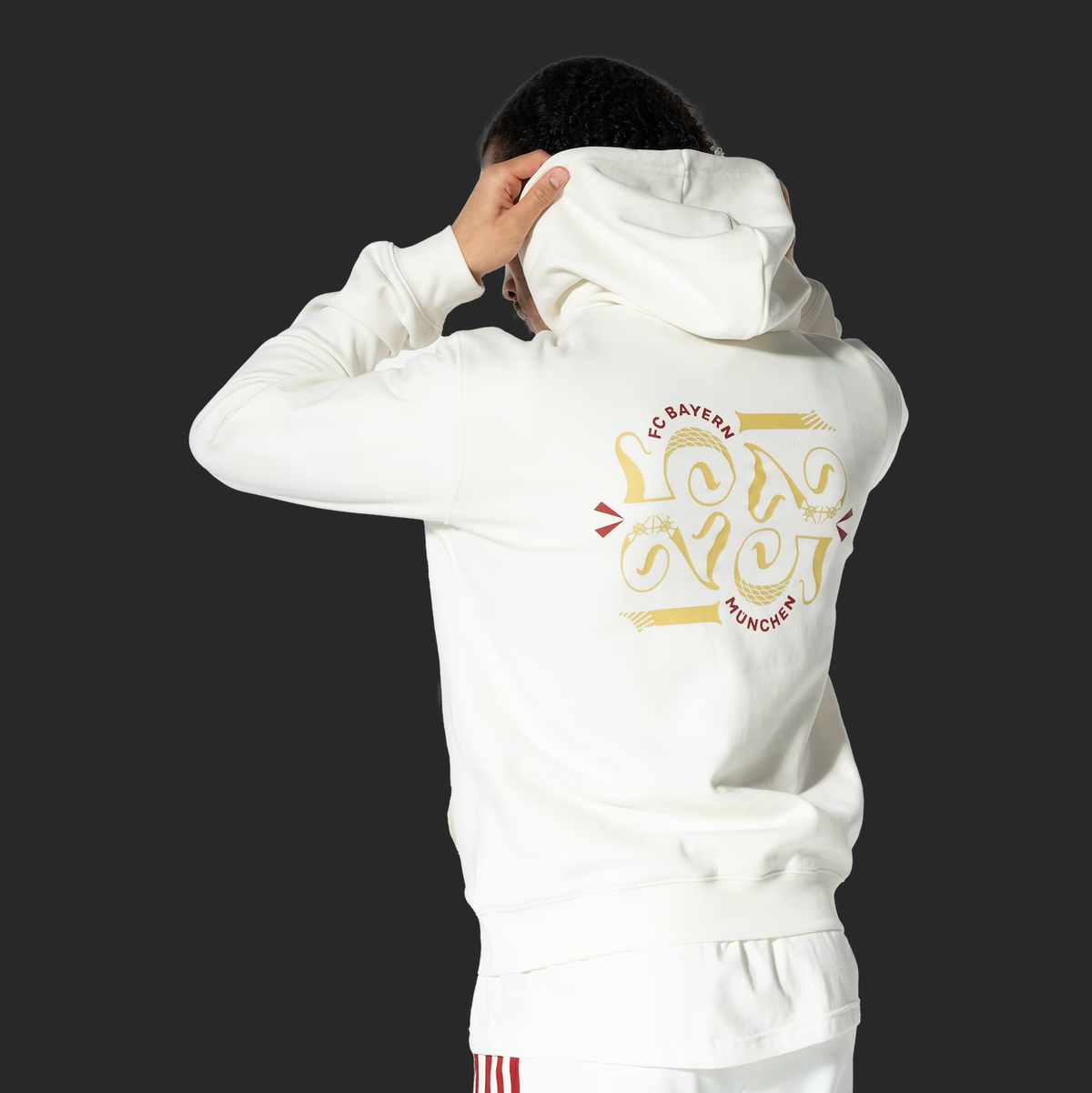Bayern Munich Hoodie 125th Anniversary - Red