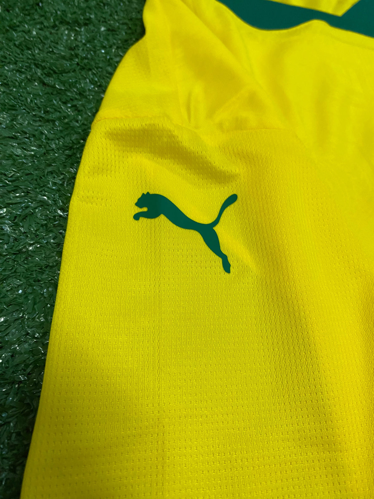Camisa Palmeiras III Verde e amarela 25/26