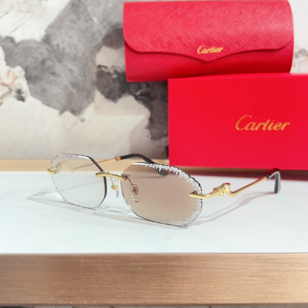 Fashion hot 5 color sunglasses