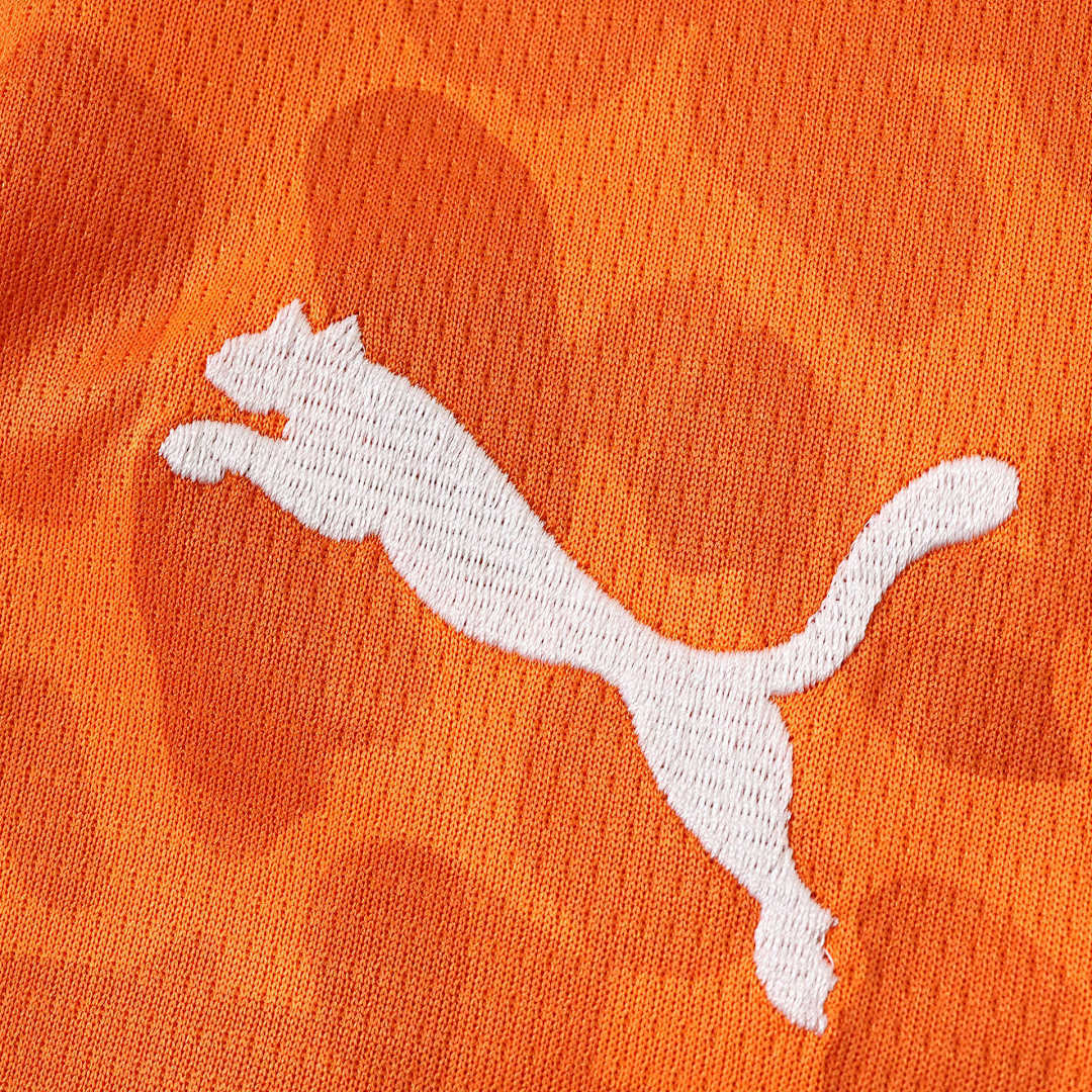 Ivory Coast World Cup 2026 Jersey