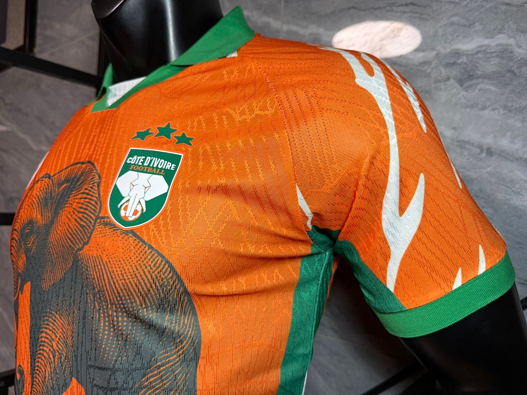 Ivory Coast Special Edition Orange Jersey - Player Version