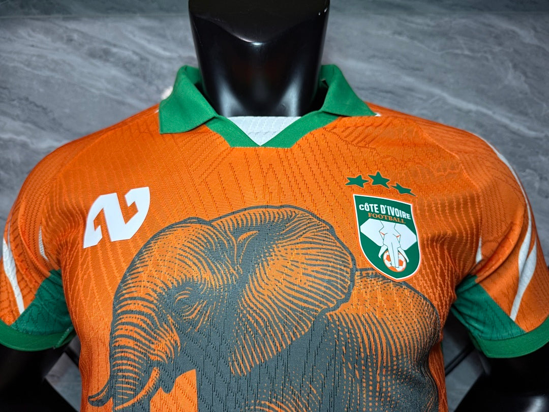 Ivory Coast Special Edition Orange Jersey - Player Version