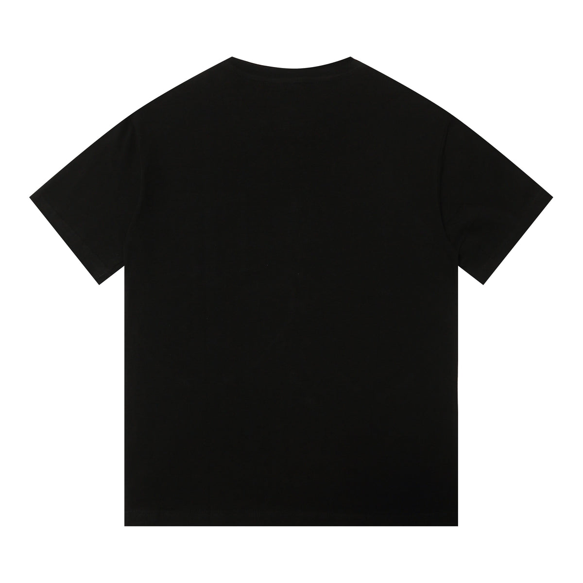2 color fashion T-shirt 313